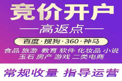 百度竞价之行业差异化的成功案例探讨